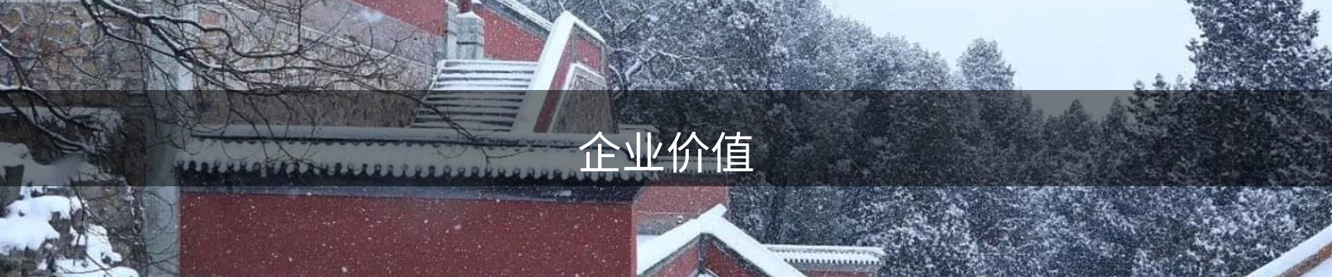 企业价值